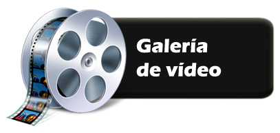 Galería de videos